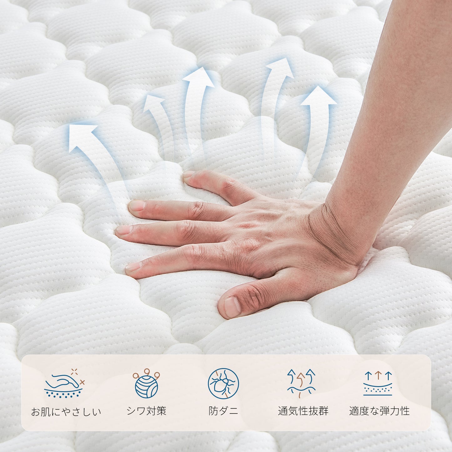 Inofia マットレス 高反発 極厚20cm ポケットコイル やや硬め 体圧分散 3Dメッシュ側面 通気性